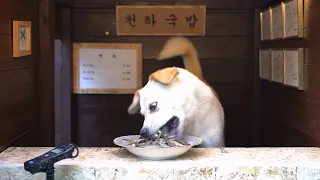 천하국밥 신메뉴 출시