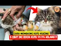 Download Lagu 5 OBAT KUTU KUCING YANG AMPUH !! Cara Menghilangkan Kutu Kucing dan Cara Membasmi Kutu Kucing