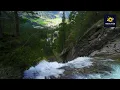 Download Lagu BACKSOUND PEDESAAN - NO COPYRIGHT || SUASANA ALAM PEDESAAN || RELAXATION #music #shortsfeed #intro