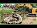Download Lagu You Will Be Shock By Truck and Extreme Dangerou Heavy Equipment | Biggest Heavy Machinery Machine #5