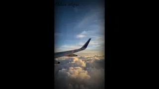 اغنيه تيك توك عاشت ايدك دندنها