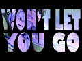 Download Lagu Won't Let You Go - S3RL ft Chi-Chi