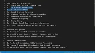 Web3 Hacking in Python - 0x01 Section 1 Outline