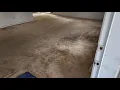 Carpet Cleaning Pet Urine and Heavy soil out of this empty home