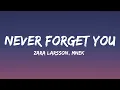 Download Lagu Zara Larsson, MNEK - Never Forget You (HD Lyrics Video)