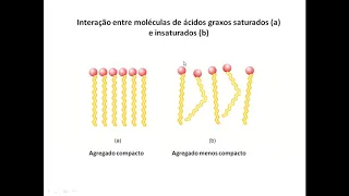 Aula14 ACH5542 - Lipídeos