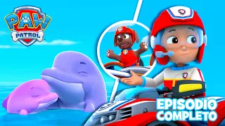 ¡Los PAW Patrol salvan a los delfines! | Episodios Completos | PAW Patrol Oficial