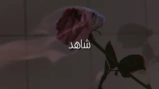 Billie Eilish Watch مترجمة 