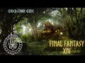 FFXIV Chocobo Coloring Guide