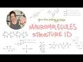 How to Identify Macromolecules Biomolecules