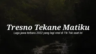 Download TRESNO TEKANE MATIKU || lagu viral Tik Tok populer MP3