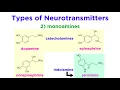 Neurotransmitters Type Structure and Function