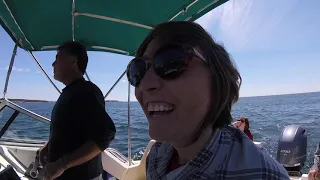 Not All Work, Some Play