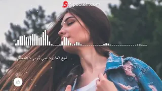 شيخ العشيرة عمي ياربي شو مجنني اغنيه كامله دندنها