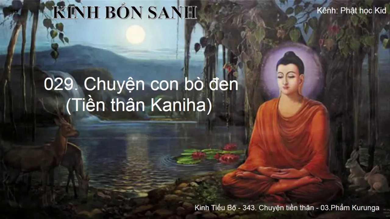 K.Bổn Sanh Tập 1 029 Truyện con bò đen 