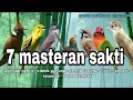 Download Lagu Masteran Murai batu Tembakan Kasar Irama Lagu Sejalur - Materi Mewah Untuk Burung Lomba MP3