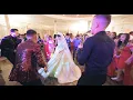 Download Lagu Armin Nicoara \u0026 Petrica Brundeanu - Nunta Dalia si Stefan