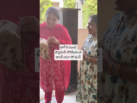@ramyacollections డాగ్ కి మంచి ఫ్యామిలీ దొరికినందుకు చాలా హ్యాపీగా వుంది సిస్టర్స్