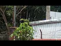 LAGU TONY Q RASTAFARA TERTANAM - PARIS VAN JAVA - KONGKALIKONG