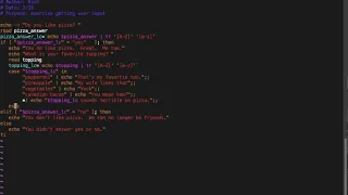 Shell Scripting 101 case statements
