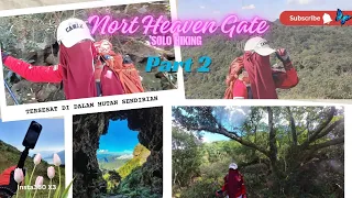 Download LOST IN THE FOREST ALONE PART 2 || SOLO HIKING TO NORT HEAVEN GATE [4K] MP3