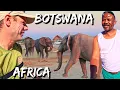 Download Lagu This is The Raw Beauty of Botswana 🇧🇼 vA 142