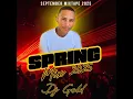 Download Lagu DJ GOLD - Spring Sept Mix 2025