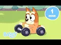 Download Lagu 🔴LIVE: Sporty Games to Play with Bingo and Bluey | Outdoor Activities with Bluey | Bluey