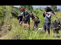 Download Lagu TAK HANYA PEMBURU, KAMERAMEN ANTUSIAS MENGEJAR BABI HUTAN