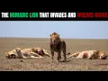Lagu NOMADIC LION Invaded 3 TERRITORIES in One Night... The CHAOS That Followed Changed Everything