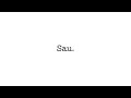 Download Lagu MIR - Sau.