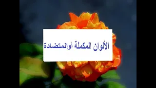 الألوان المكملة أو المتضادة عبد اللاوي نسرين 