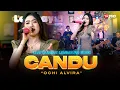 Download Lagu Ochi Alvira - CANDU (Live Dangdut Lembayung Music) | Koyo Nyandu Rasane Awak Isun Nyang Riko