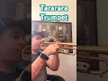 Download Lagu Tararara Trumpet #tarara #trumpet #tararara #viralshorts #short #trending