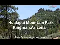 Hualapai Mountain Park in Kingman AZ 2025