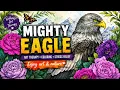 Mighty eagle HappyArtTherapy