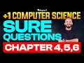 Plus One Computer Science Chapter 4 5 6 Sure Question Christmas Exam Eduport Plus One