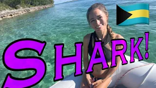 DIVING & Sailing The Bahamas | Lisa’s 1st SHARK