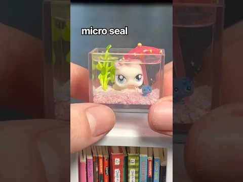 making a mini seal aquarium
