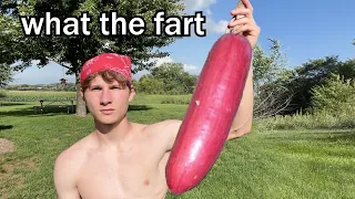 exotic fruit review