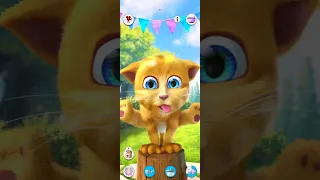Talking Tom Ginger #cat#shorts#tom#reels#shortsyoutube#skibiditoilet#sikbitoilet#rek#short#top