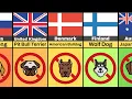 🚫 Dog Breeds You Can't Own (By Country)