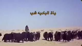 الباديه قديما ١٩٦٦م فرحان الحربي 