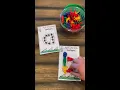 Bug Activities for Preschool