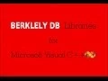 BerkeleyDB libraries for MS VC
