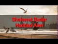 Download Lagu Sholawat Badar Haddad Alwi