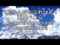 Usada Pekora - ぺこらんだむぶれいん！ (Pekorandombrain!) | Lyric Video (JP/ROM/ENG) + Grammar Explanations