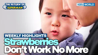 Download [Weekly Highlights] Best Son \u0026 Brother Award😂 [The Return of Superman] | KBS WORLD TV 240218 MP3