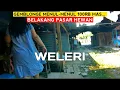 Lagu 𝗪𝗘𝗟𝗘𝗥𝗜❗Gemblongnya 100ribu enak menul2 lho mas... di warung kopi pasar hewan.