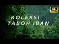 Download Lagu KOLEKSI PENUH TABOH IBAN